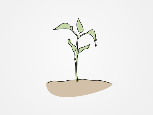 Plant illustration